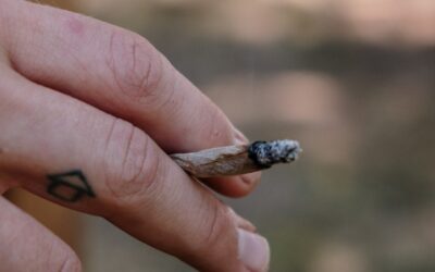 UN Drug Report Shines Light on Cannabis, Cocaine and Methamphetamine Trends